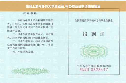 在网上怎样补办大学毕业证,补办毕业证申请表在哪里