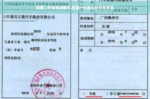 铜梁二中毕业证图片,铜梁一中怎么补办毕业证