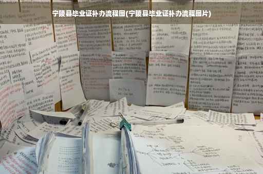 宁陵县毕业证补办流程图(宁陵县毕业证补办流程图片)