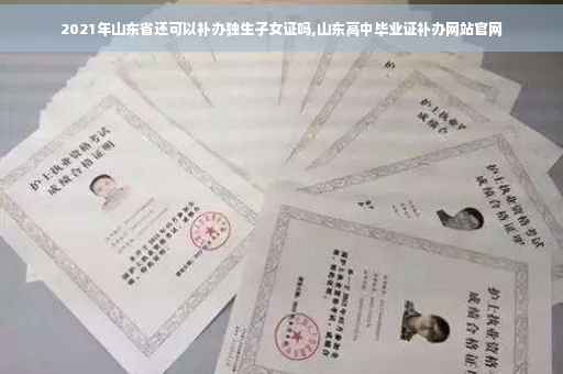 2021年山东省还可以补办独生子女证吗,山东高中毕业证补办网站官网