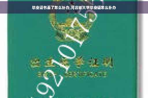 毕业证书丢了怎么补办,河北省大学毕业证怎么补办