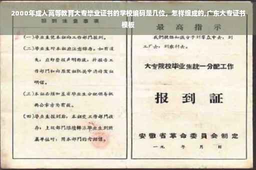 2000年成人高等教育大专毕业证书的学校编码是几位，怎样组成的,广东大专证书模板