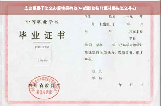 毕业证丢了怎么办最快最有效,中级职业技能证书丢失怎么补办