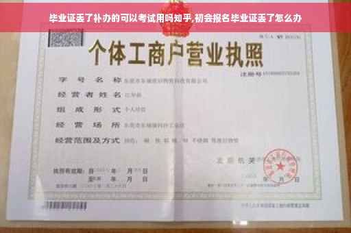 毕业证丢了补办的可以考试用吗知乎,初会报名毕业证丢了怎么办