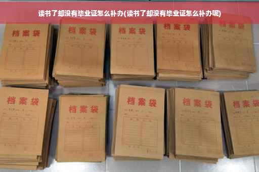 读书了却没有毕业证怎么补办(读书了却没有毕业证怎么补办呢)