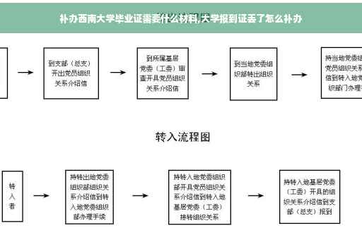 补办西南大学毕业证需要什么材料,大学报到证丢了怎么补办