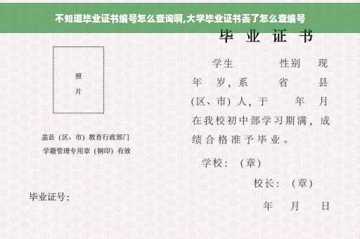 不知道毕业证书编号怎么查询啊,大学毕业证书丢了怎么查编号