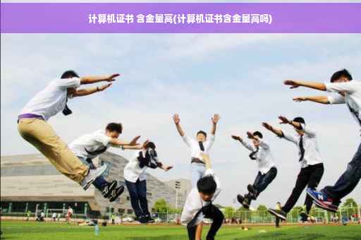 计算机证书 含金量高(计算机证书含金量高吗)