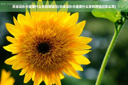 毕业证补办需要什么资料呢请问(毕业证补办需要什么资料呢请问怎么写)