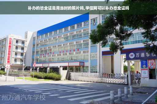 补办的毕业证是用当时的照片吗,学信网可以补办毕业证吗