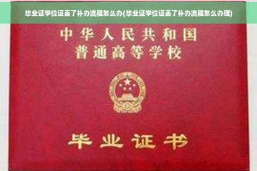 毕业证学位证丢了补办流程怎么办(毕业证学位证丢了补办流程怎么办理)