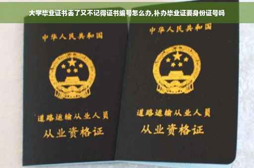 大学毕业证书丢了又不记得证书编号怎么办,补办毕业证要身份证号吗
