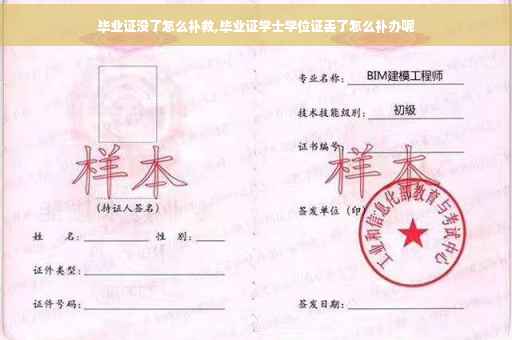 毕业证没了怎么补救,毕业证学士学位证丢了怎么补办呢