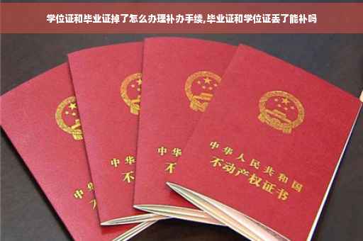 学位证和毕业证掉了怎么办理补办手续,毕业证和学位证丢了能补吗