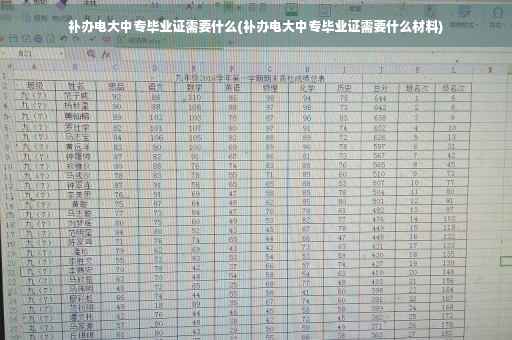 补办电大中专毕业证需要什么(补办电大中专毕业证需要什么材料)