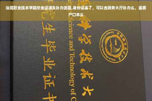 汕尾职业技术学院毕业证遗失补办流程,身份证丢了，可以去政务大厅补办么，需要户口本么