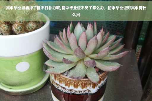 高中毕业证丢掉了能不能补办呢,初中毕业证不见了怎么办，初中毕业证对高中有什么用
