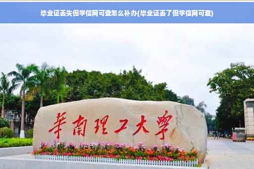 毕业证丢失但学信网可查怎么补办(毕业证丢了但学信网可查)