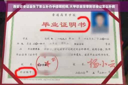 西安毕业证丢失了怎么补办手续呢视频,大学毕业没拿到毕业证怎么补救