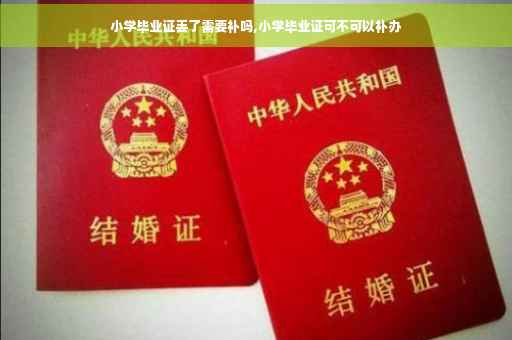 小学毕业证丢了需要补吗,小学毕业证可不可以补办