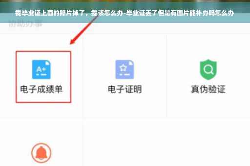 我毕业证上面的照片掉了，我该怎么办-毕业证丢了但是有图片能补办吗怎么办