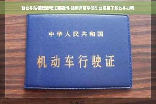 就业补贴领取流程江西赣州-赣南师范学院毕业证丢了怎么补办呢