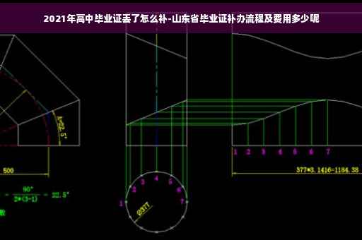 2021年高中毕业证丢了怎么补-山东省毕业证补办流程及费用多少呢