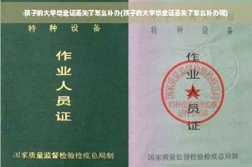 孩子的大学毕业证丢失了怎么补办(孩子的大学毕业证丢失了怎么补办呢)