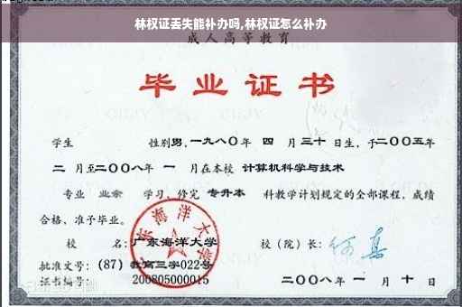 林权证丢失能补办吗,林权证怎么补办 林权证丢失能补办吗,林权证怎么补办