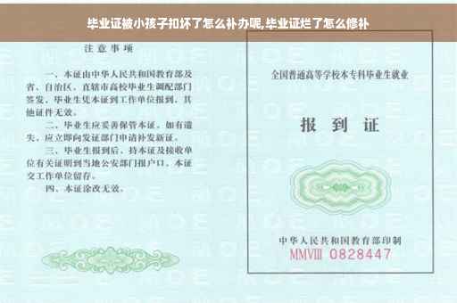 毕业证被小孩子扣坏了怎么补办呢,毕业证烂了怎么修补