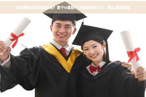 农业银行的证书怎么用？象个U盘那个,k宝密码忘记了，怎么重新设置