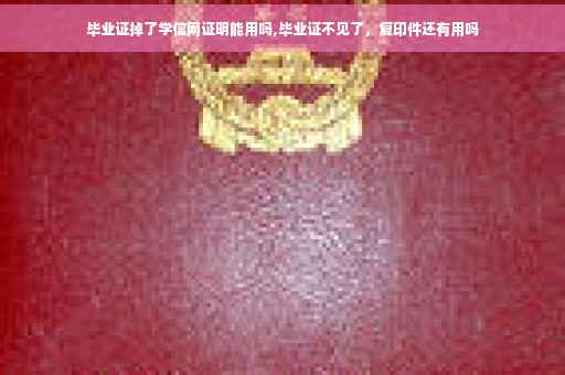 毕业证掉了学信网证明能用吗,毕业证不见了，复印件还有用吗