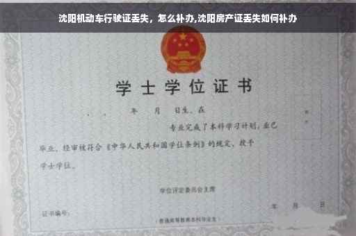 沈阳机动车行驶证丢失，怎么补办,沈阳房产证丢失如何补办