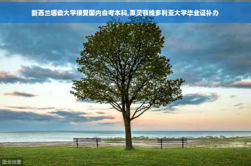 新西兰哪些大学接受国内自考本科,惠灵顿维多利亚大学毕业证补办