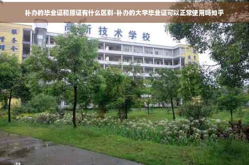 补办的毕业证和原证有什么区别-补办的大学毕业证可以正常使用吗知乎
