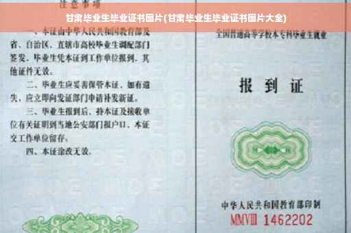 甘肃毕业生毕业证书图片(甘肃毕业生毕业证书图片大全)