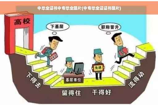 中毕业证书中专毕业图片(中专毕业证证书图片)
