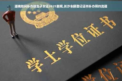 湖南如何补办独生子女证2021新规,长沙车辆登记证书补办预约流程