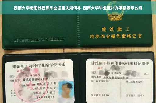 湖南大学衡阳分校原毕业证丢失如何补-湖南大学毕业证补办申请表怎么填