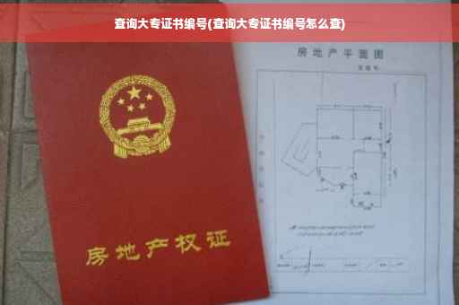 查询大专证书编号(查询大专证书编号怎么查)