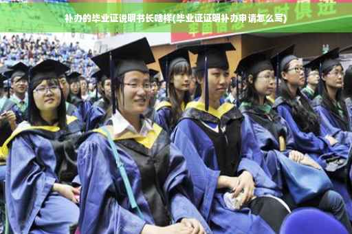 补办的毕业证说明书长啥样(毕业证证明补办申请怎么写)