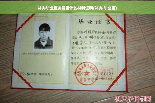 补办毕业证需要带什么材料证明(补办 毕业证)