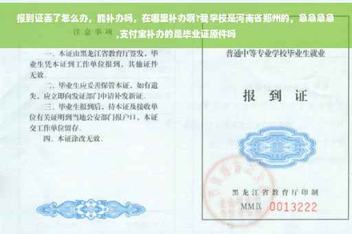 报到证丢了怎么办，能补办吗，在哪里补办啊?我学校是河南省郑州的，急急急急,支付宝补办的是毕业证原件吗