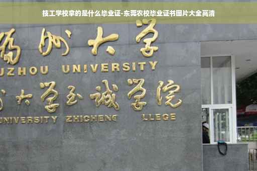 技工学校拿的是什么毕业证-东莞农校毕业证书图片大全高清
