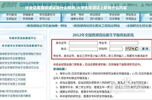 毕业证里面派遣证是什么样的,大学生派遣证上都有什么内容