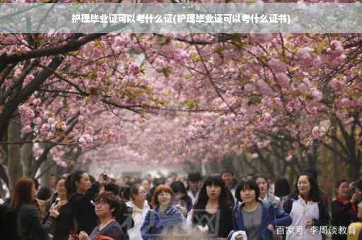 护理毕业证可以考什么证(护理毕业证可以考什么证书)