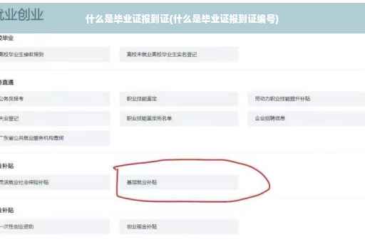 什么是毕业证报到证(什么是毕业证报到证编号)