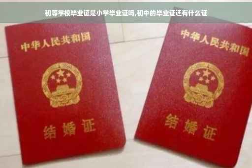 初等学校毕业证是小学毕业证吗,初中的毕业证还有什么证