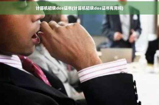 计算机初级dos证书(计算机初级dos证书有用吗)