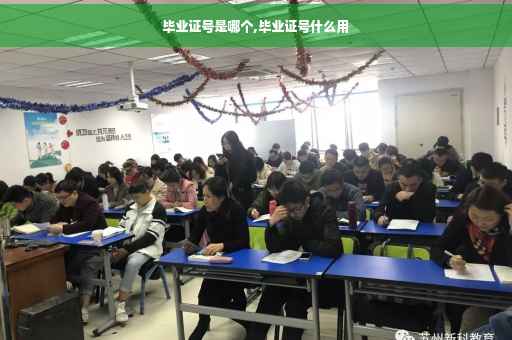 毕业证号是哪个,毕业证号什么用